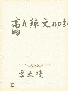 高h辣文np纯肉 高h辣文np纯肉
