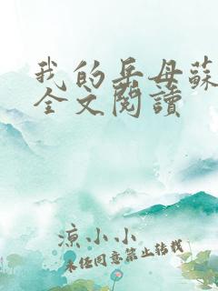我的岳母苏霈真全文阅读