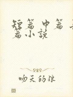 短篇 中篇 长篇小说