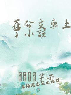 在公交车上被顶了小说
