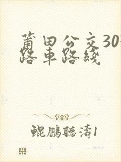 莆田公交303路车路线