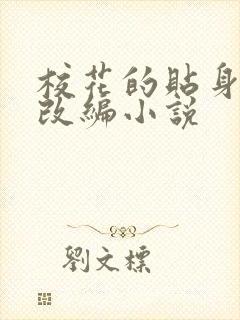 校花的贴身高手改编小说
