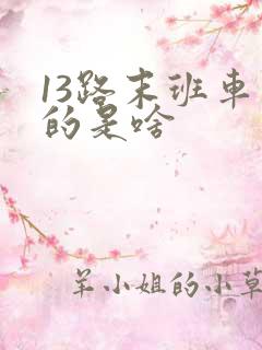 13路末班车讲的是啥