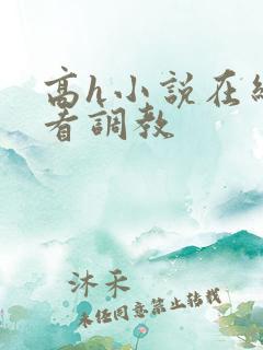 高h小说在线观看调教