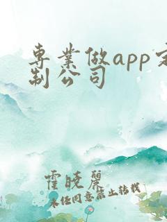 专业做app定制公司