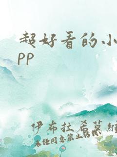 超好看的小说app 超好看的小说app