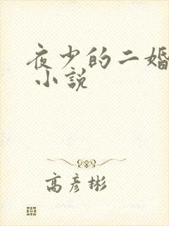 夜少的二婚新妻 小说