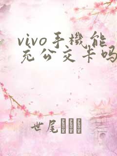 vivo手机能充公交卡吗