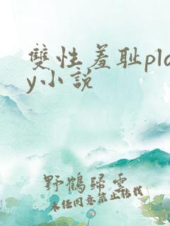 双性羞耻play小说