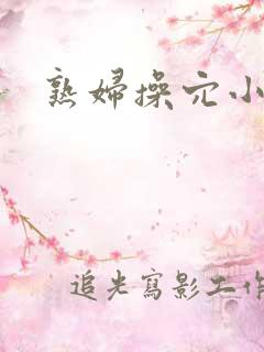 熟妇操穴小说