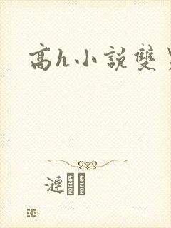 高h小说双男主