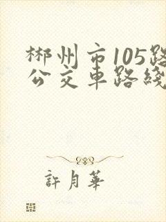 郴州市105路公交车路线图