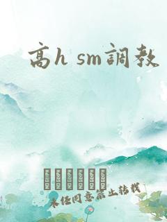 高h sm调教