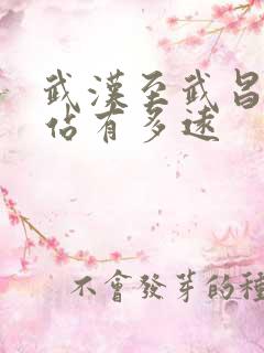 武汉至武昌火车站有多远 武汉至武昌火车站有多远