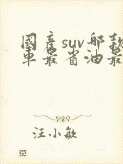 国产suv哪款车最省油最好