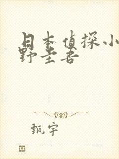 日本侦探小说东野圭吾