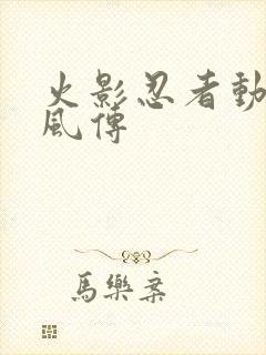 火影忍者动画疾风传