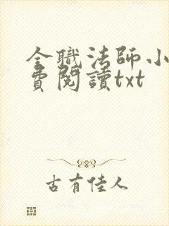 全职法师小说免费阅读txt