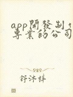 app开发制作专业的公司