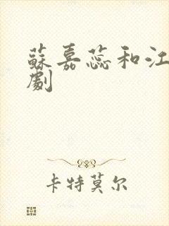 苏嘉蕊和江昊短剧