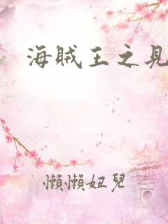 海贼王之见证者