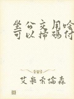 坐公交用啥软件可以扫码付款