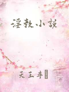 淫教小说