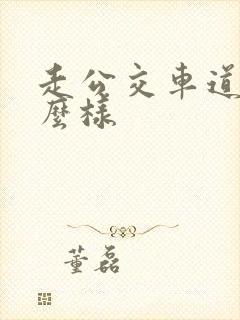 走公交车道会怎么样