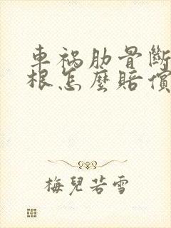 车祸肋骨断了两根怎么赔偿