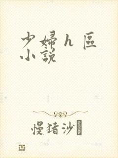 少妇 h 区 小说
