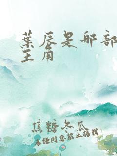 叶辰是哪部小说主角