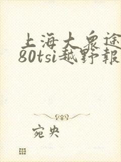 上海大众途昂380tsi越野报价多少钱