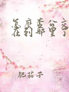 怎么查公交车现在到哪里了