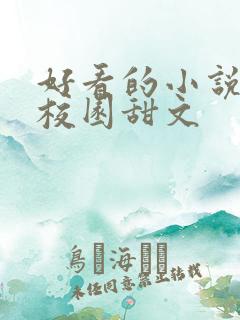 好看的小说推荐校园甜文