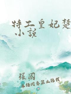 特工皇妃楚乔传 小说