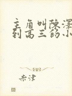 主角叫陈泽重生到高三的小说