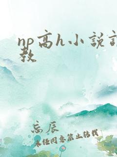 np高h小说调教