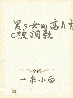 男s女m高h被c被调教