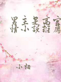 男主是高官的言情小说推荐