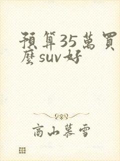 预算35万买什么suv好