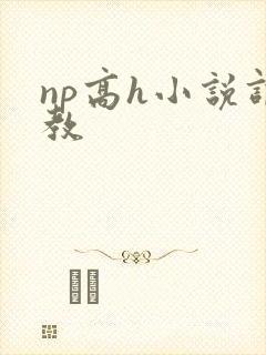 np高h小说调教