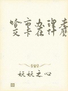 哈市办理老年公交卡在什么地方 哈市办理老年公交卡在什么地方