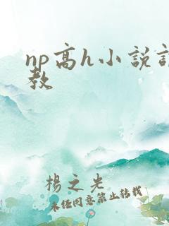 np高h小说调教