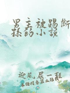 男主被踢断子绝孙的小说