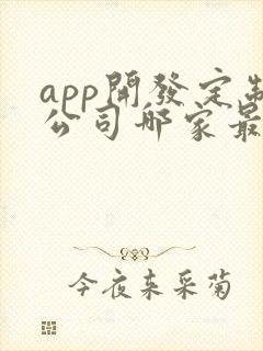 app开发定制公司哪家最好