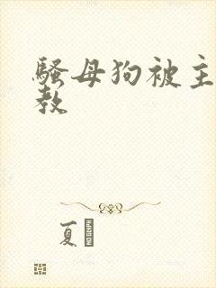 骚母狗被主人调教