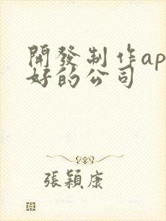 开发制作app好的公司