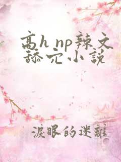 高h np辣文 舔穴小说