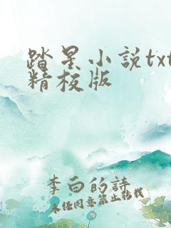 踏星小说txt精校版