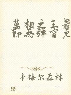 万相之王最新章节无弹窗免费阅读